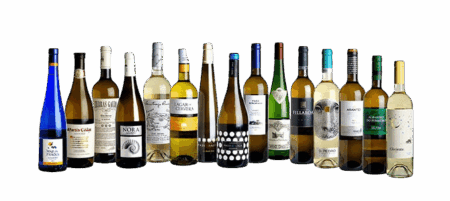 Ultimate Guide to Albariño - Swallow Don't Spit Wine