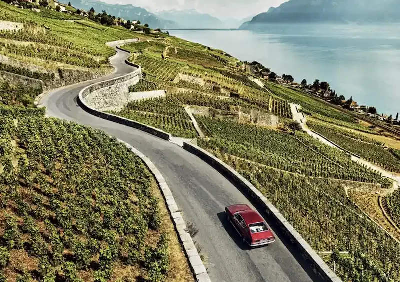 A car driving through vineyards by a lake, somewhere in Spanish wine country