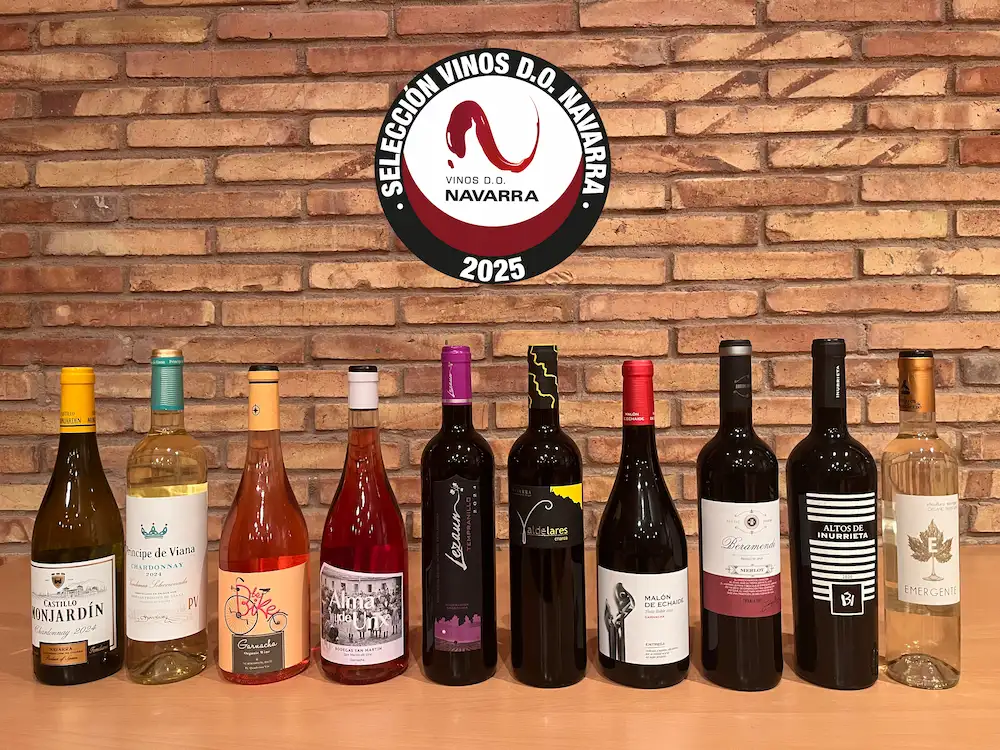 Some of 2025's best Navarrese wines, showing whites, roses and reds