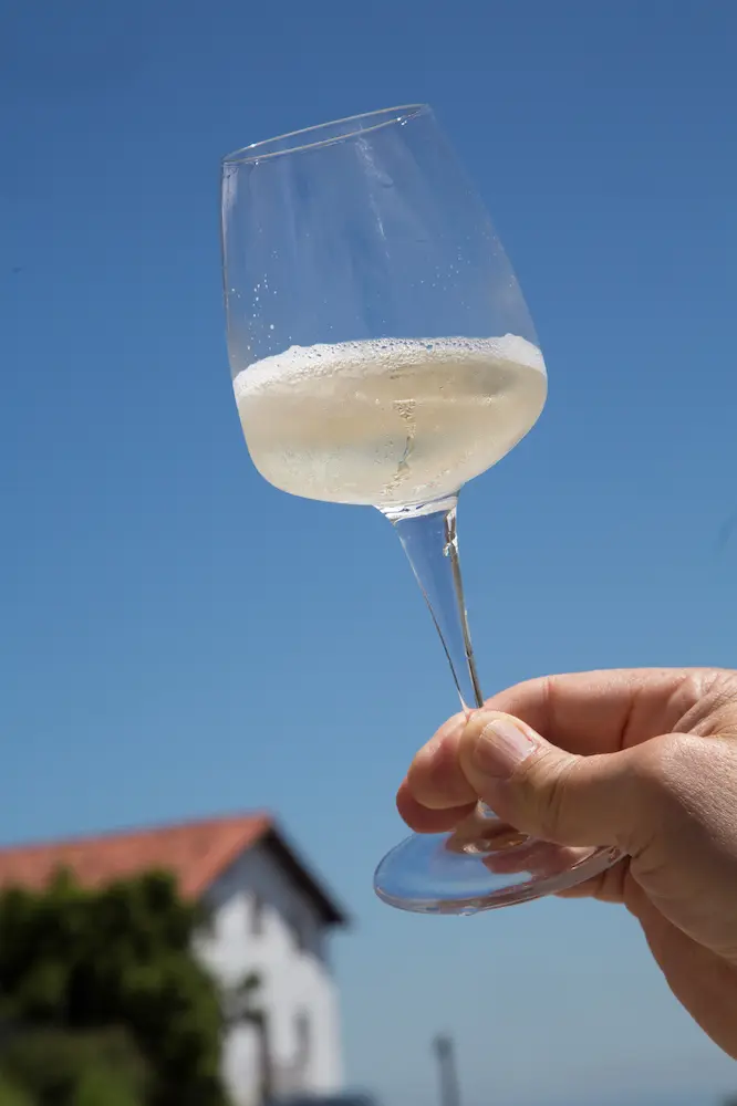 A glass of txakoli white wine showing its fine bubbles