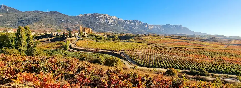View of vineyards in Rioja Alavesa, with a small village and mountain range in the distance