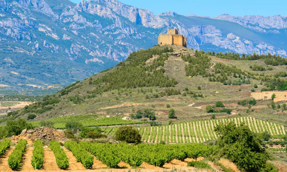 Rioja Baja wine region view across vineyards with a sierra in the background and a small church in the middleground