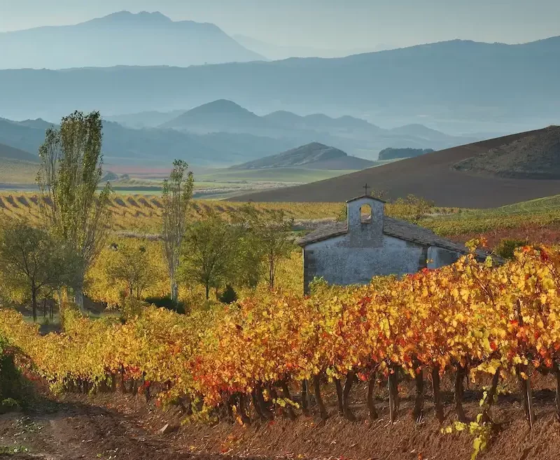Autumnal colours in Navarra looking across a vineyard and past a small church onto the foothills of the Pyrenees in the distance