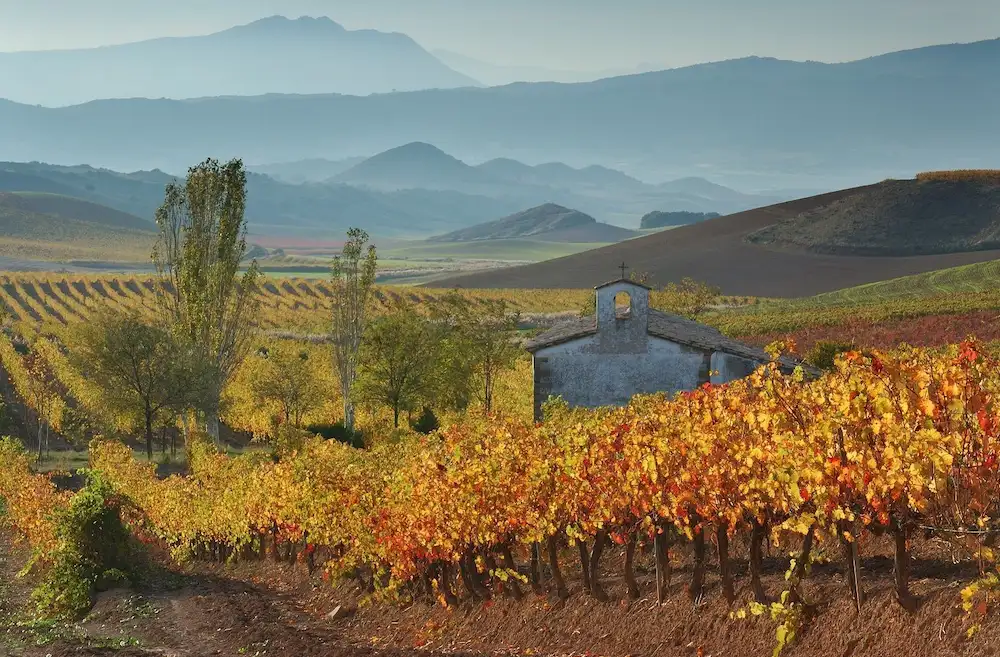 Autumnal colours in Navarra looking across a vineyard and past a small church onto the foothills of the Pyrenees in the distance