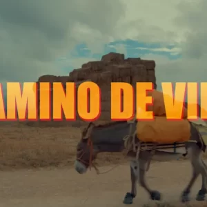 Camino de Vino: a hedonistic pilgrimage through Spain's wine regions